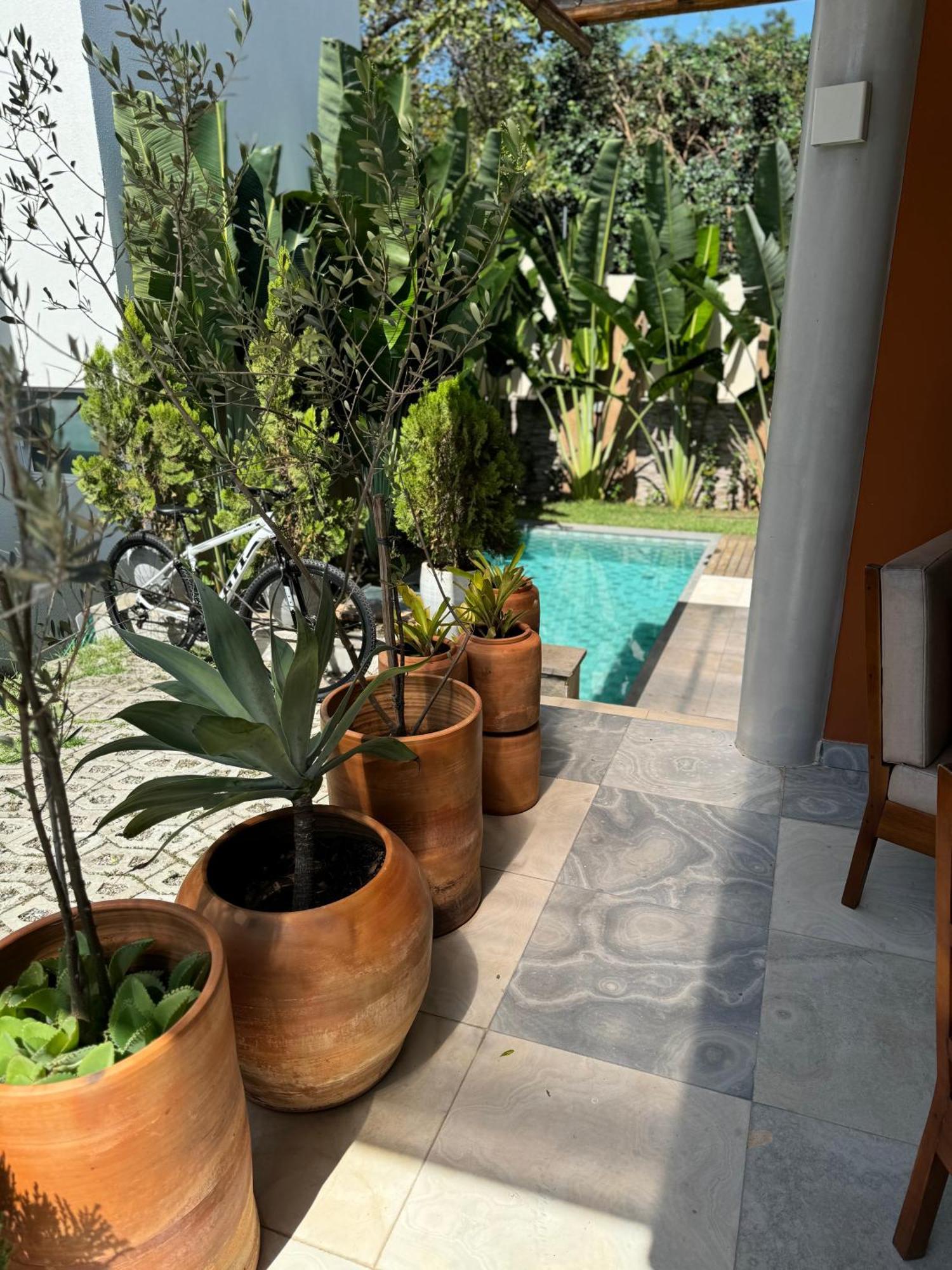 Casa Flamingos - By Pipa House